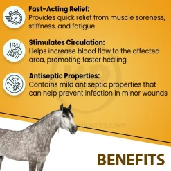 Absorbine Sore Muscle & Joint Pain Relief Veterinary Liniment Gel for Horses 12-oz