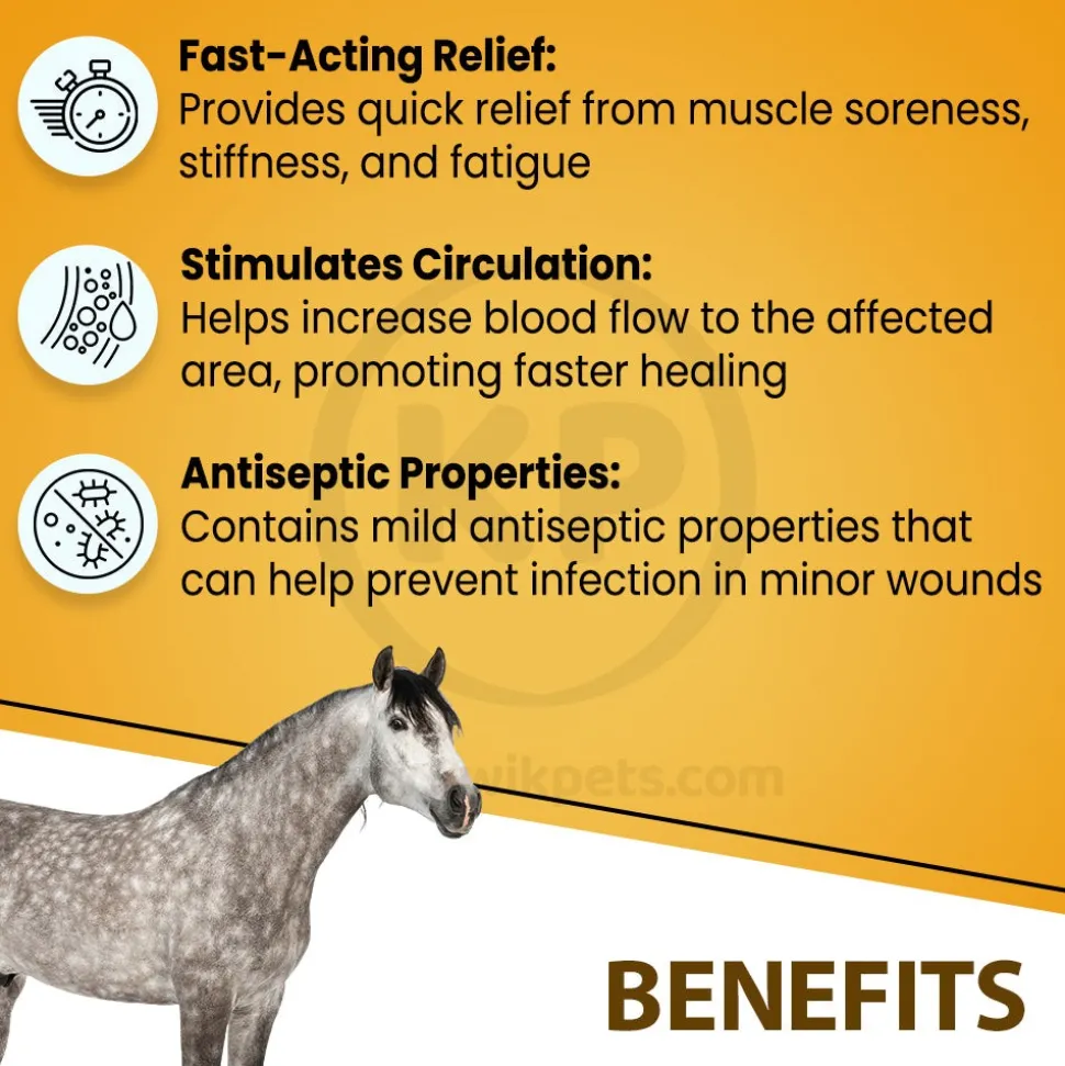 Absorbine Sore Muscle & Joint Pain Relief Veterinary Liniment Gel for Horses 12-oz