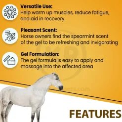 Absorbine Sore Muscle & Joint Pain Relief Veterinary Liniment Gel for Horses 12-oz