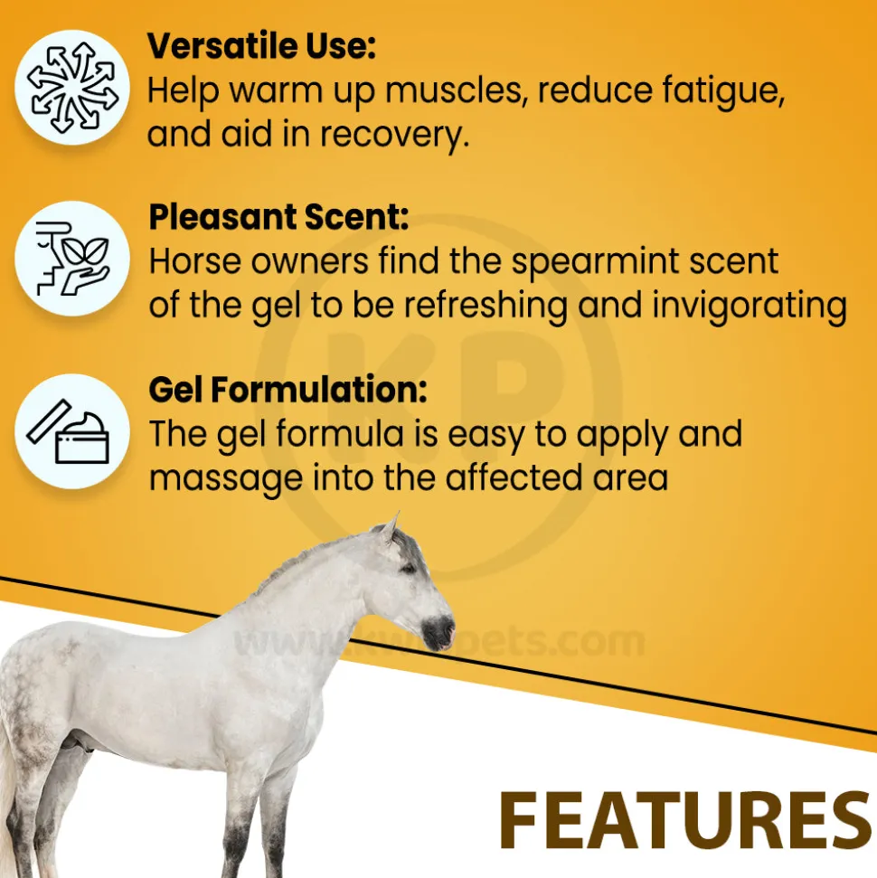 Absorbine Sore Muscle & Joint Pain Relief Veterinary Liniment Gel for Horses 12-oz