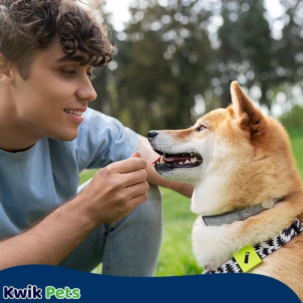 Adams Flea & Tick Collar Plus for Dogs & Puppies 2 Count