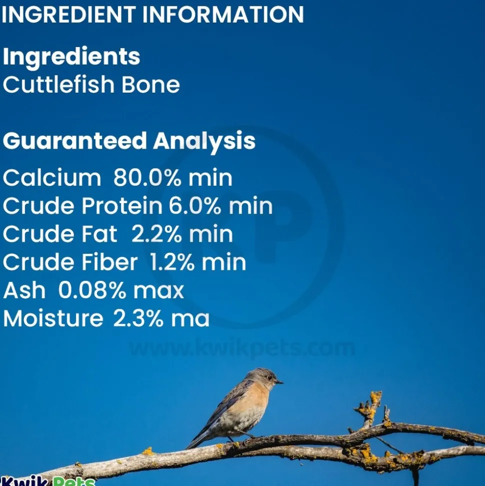 A&E Cage Company Captain 6" Flavored Cuttlebone for Birds 2 Count