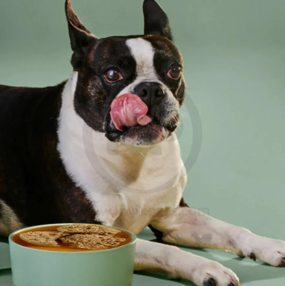 Against the Grain Nothing Else 100% One Ingredient Adult Wet Dog Food Salmon 11-oz