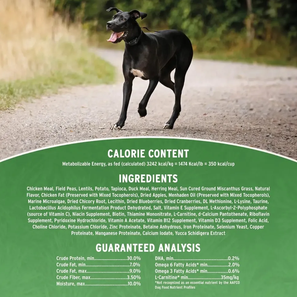 Annamaet Grain-Free Lean Low Fat Formula Dry Dog Food Chicken, Duck & Herring 5-lb