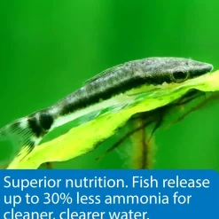 API Algae Eater Premium Sinking Wafer Fish Food 3.7-oz