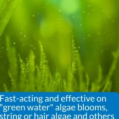 API AlgaeFix Freshwater Aquarium Algaecide 8-oz