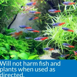 API AlgaeFix Freshwater Aquarium Algaecide 8-oz