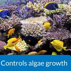 API AlgaeFix Marine Aquarium Algaecide 16-oz