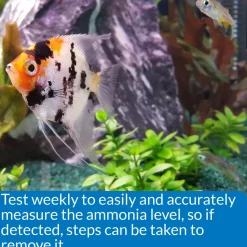 API Ammonia Test Kit for Freshwater & Saltwater Aquarium 130 Count