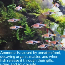 API Ammonia Test Kit for Freshwater & Saltwater Aquarium 130 Count
