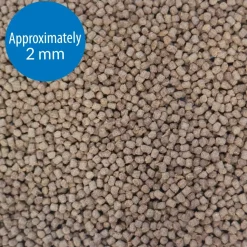 API Betta Floating Pellets Fish Food 1-oz