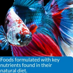 API Betta Floating Pellets Fish Food 1-oz