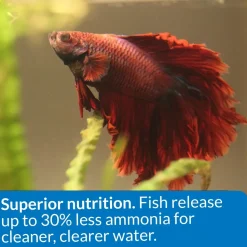 API Betta Floating Pellets Fish Food 1-oz