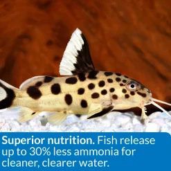 API Bottom Feeder Pellets with Squid Fish Food 1.3-oz