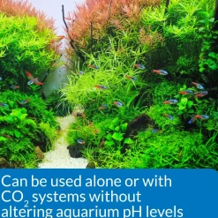 API CO2 Booster Freshwater Plant Supplement 8-oz
