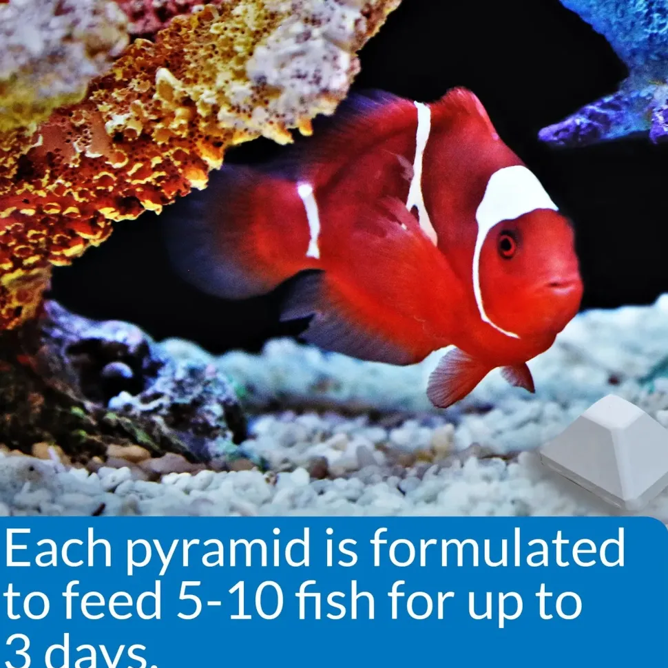 API 3-Days Weekend Pyramid Fish Feeder 4 Count 1.4-oz