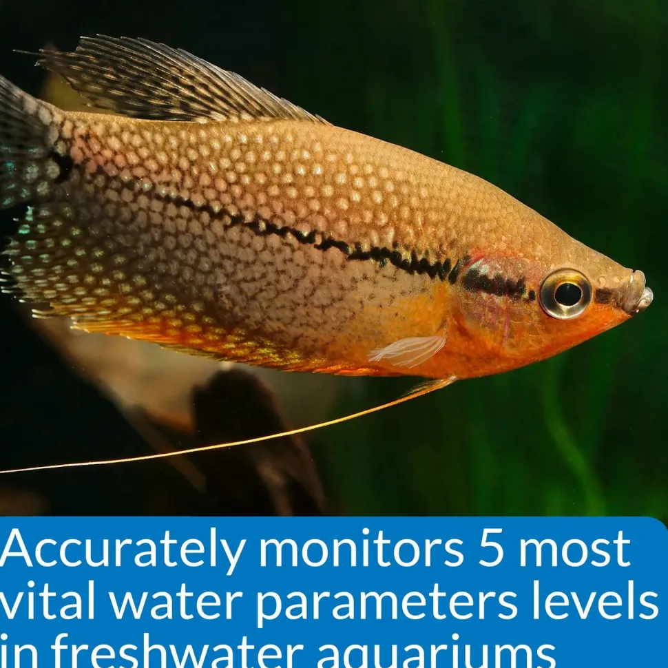 API Freshwater Aquarium Master Test Kit