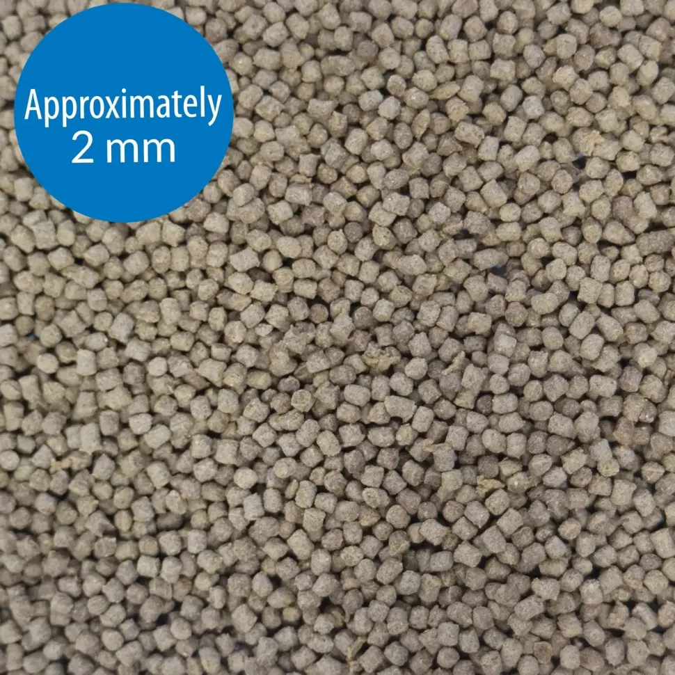 API Goldfish Premium Sinking Pellets Fish Food 4-oz