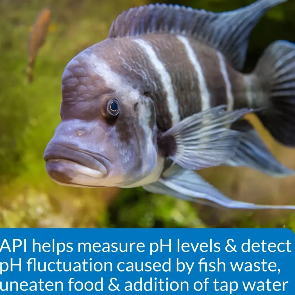 API High Range pH Test Kit for Freshwater & Saltwater Aquarium 160 Count