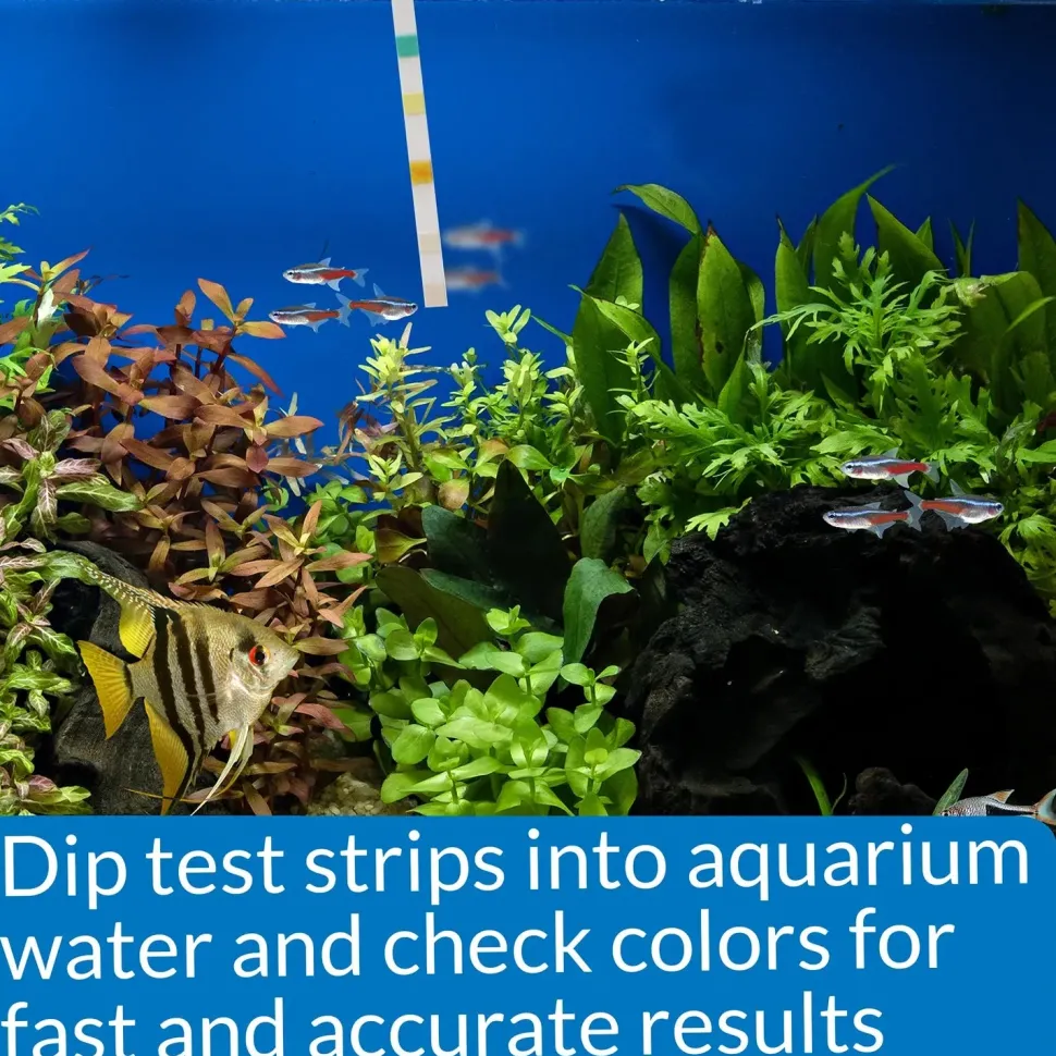 API 5-in-1 Freshwater Aquarium Test Strip 4 Count