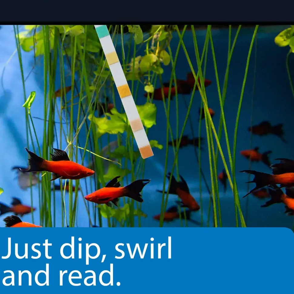 API 5-in-1 Freshwater Aquarium Test Strip 4 Count