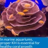 API KH Carbonate Hardness Test Kit for Freshwater & Saltwater Aquarium