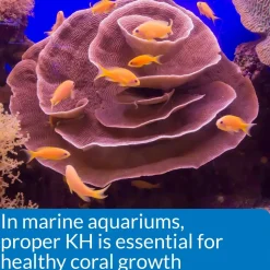 API KH Carbonate Hardness Test Kit for Freshwater & Saltwater Aquarium
