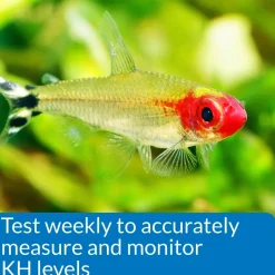 API KH Carbonate Hardness Test Kit for Freshwater & Saltwater Aquarium