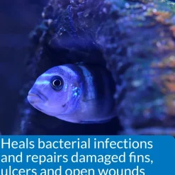 API Melafix Treats Bacterial Infections for Aquarium Freshwater Fish 4-oz