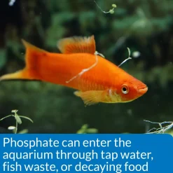 API Phosphate Test Kit Freshwater & Saltwater Aquarium 150 Count