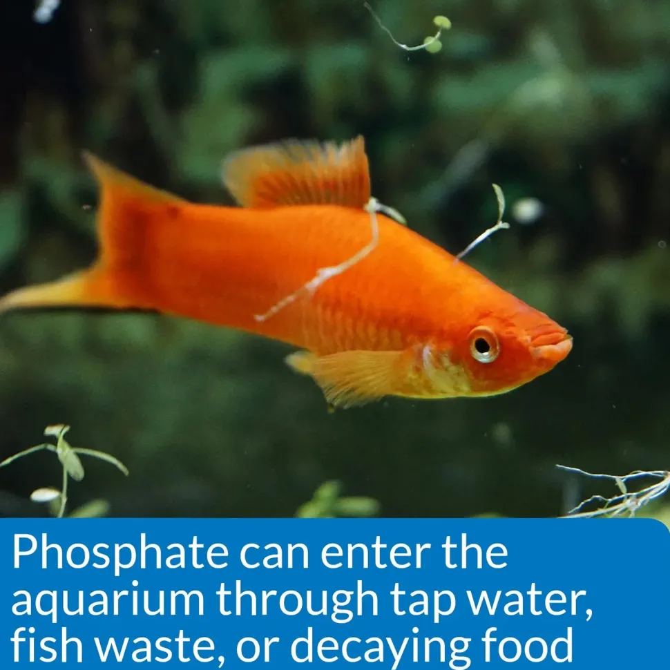 API Phosphate Test Kit Freshwater & Saltwater Aquarium 150 Count