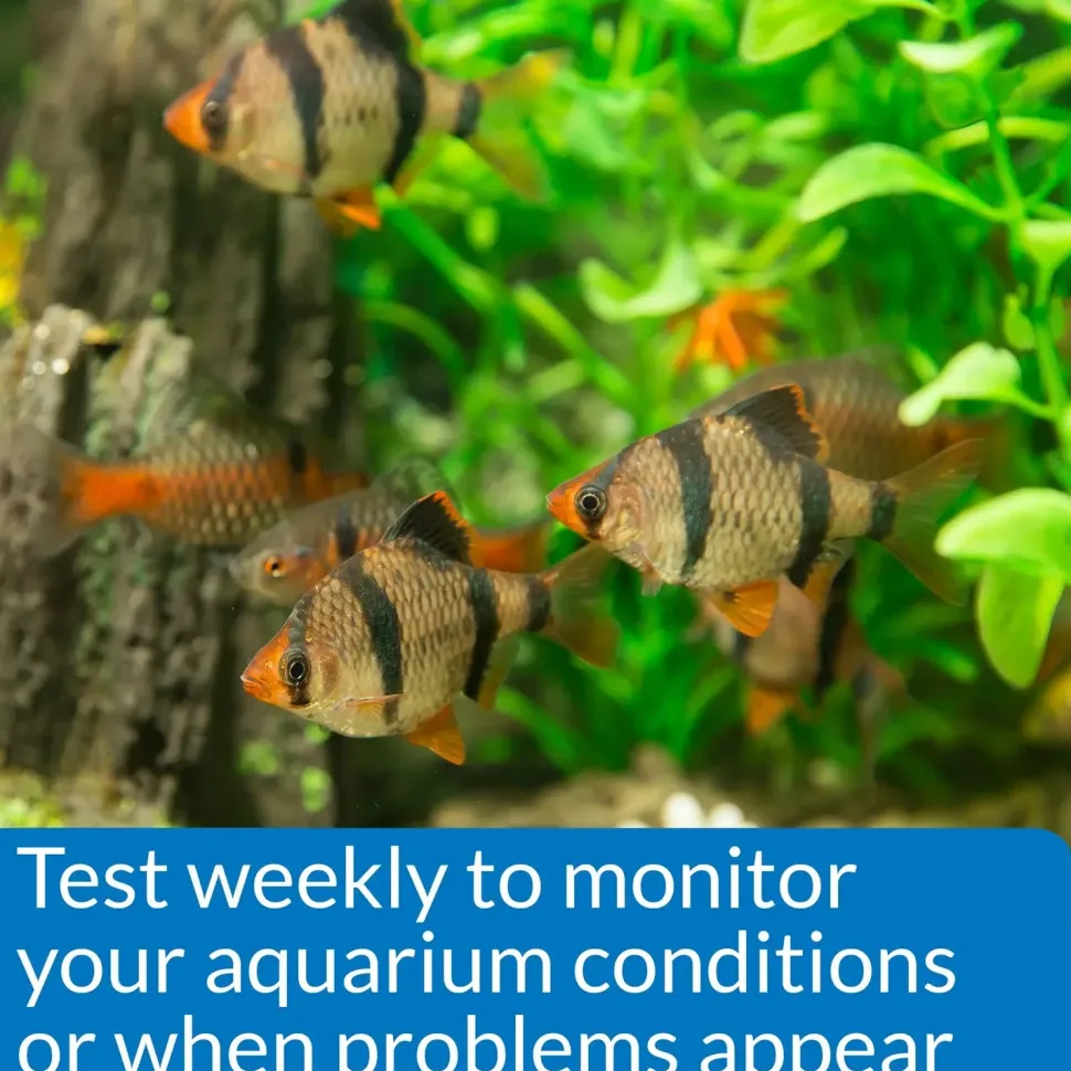 API Phosphate Test Kit Freshwater & Saltwater Aquarium 150 Count