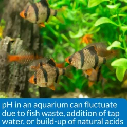 API pH Test & Adjuster Kit for Freshwater Aquarium
