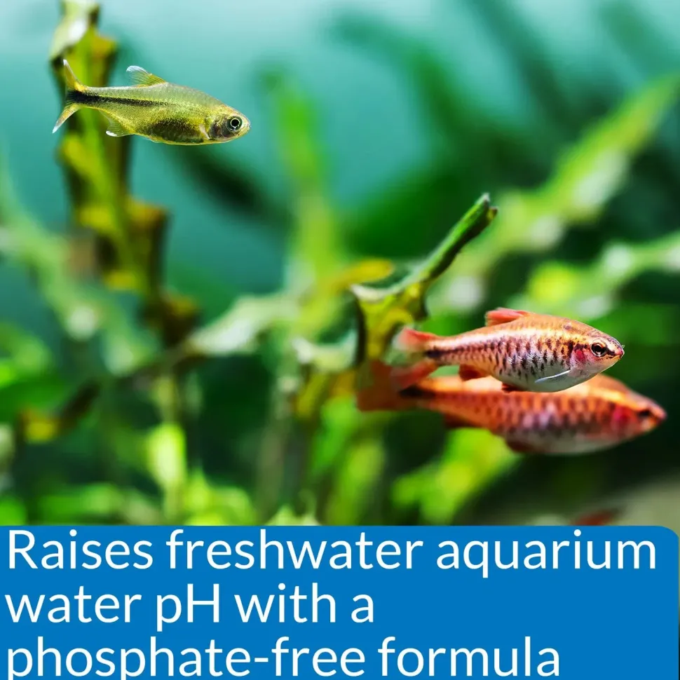 API pH Up Freshwater Aquarium Water Treatment 1.25-oz