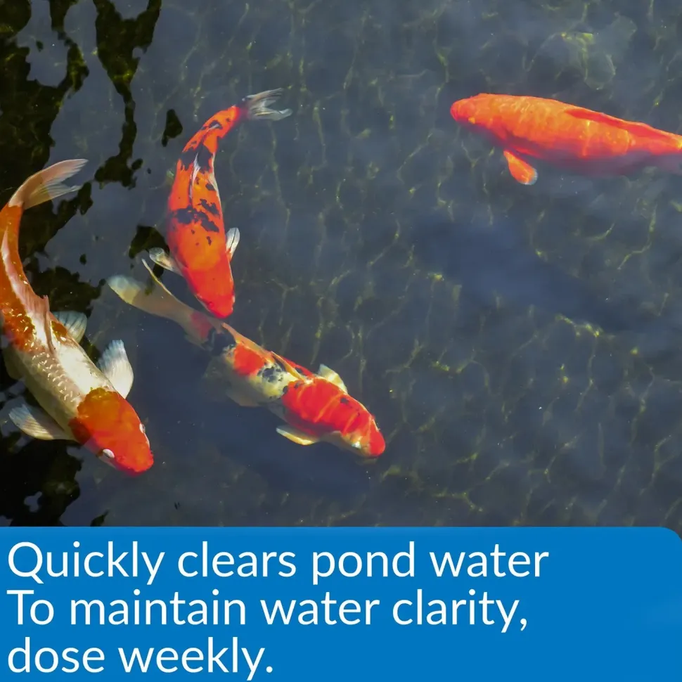 API Pond Accu-Clear Aquarium Water Clarifier 16-oz