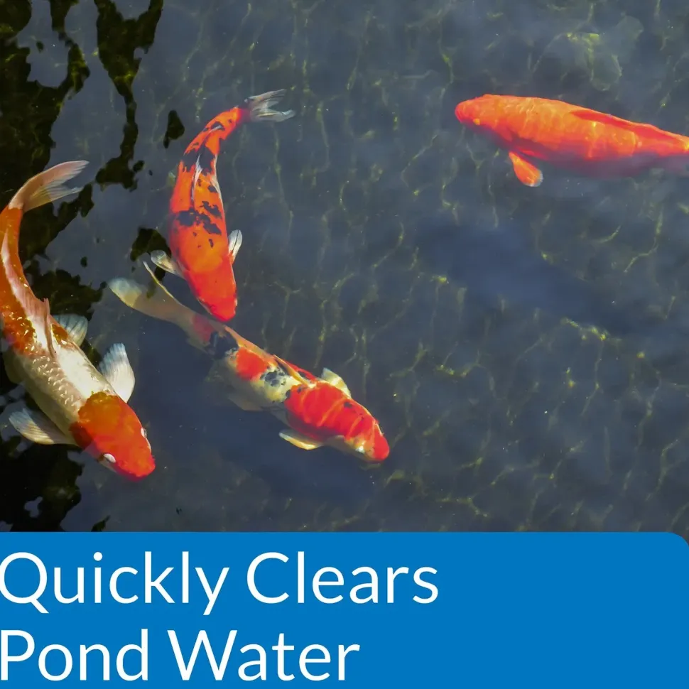 API Pond Accu-Clear Aquarium Water Clarifier 16-oz