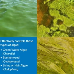 API Pond AlgaeFix Algae Control Solution 32-oz