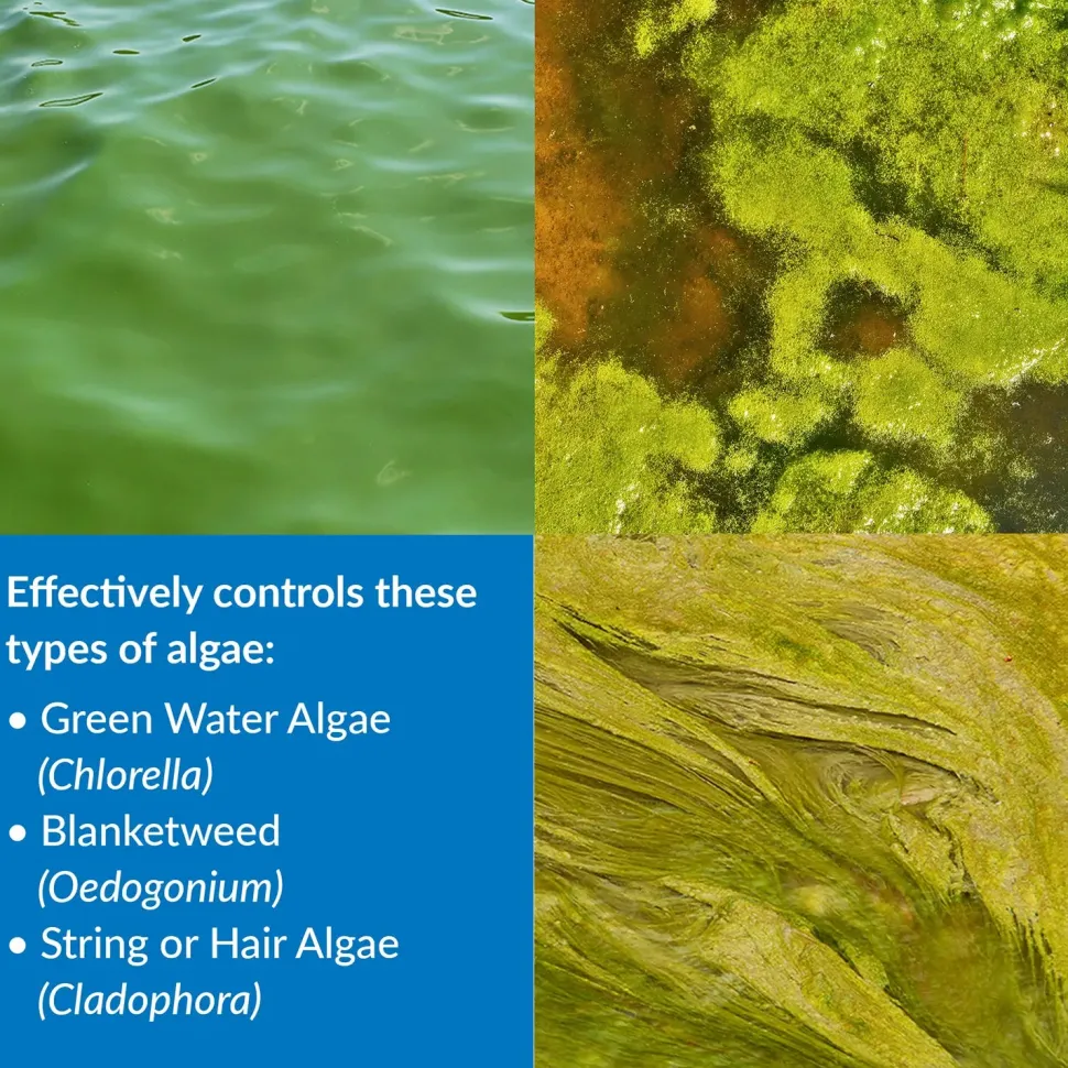 API Pond AlgaeFix Algae Control Solution 32-oz