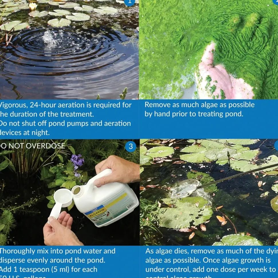 API Pond AlgaeFix Algae Control Solution 32-oz
