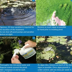 API Pond AlgaeFix Algae Control Solution 64-oz