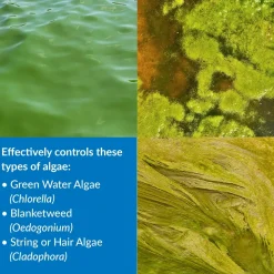 API Pond AlgaeFix Algae Control Solution 8-oz