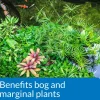 API Pond Aquatic Plant Food Tablets 25 Count