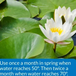 API Pond Aquatic Plant Food Tablets 25 Count