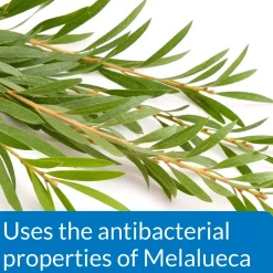 API Pond Melafix Anti-Bacterial Pond Fish Remedy 16-oz