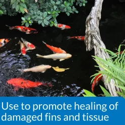 API Pond Melafix Anti-Bacterial Pond Fish Remedy 16-oz