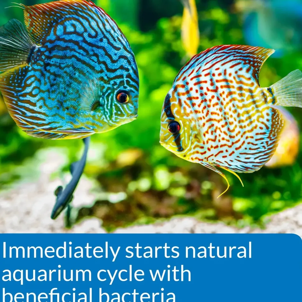 API Quick Start Aquarium Water Conditioner 16-oz