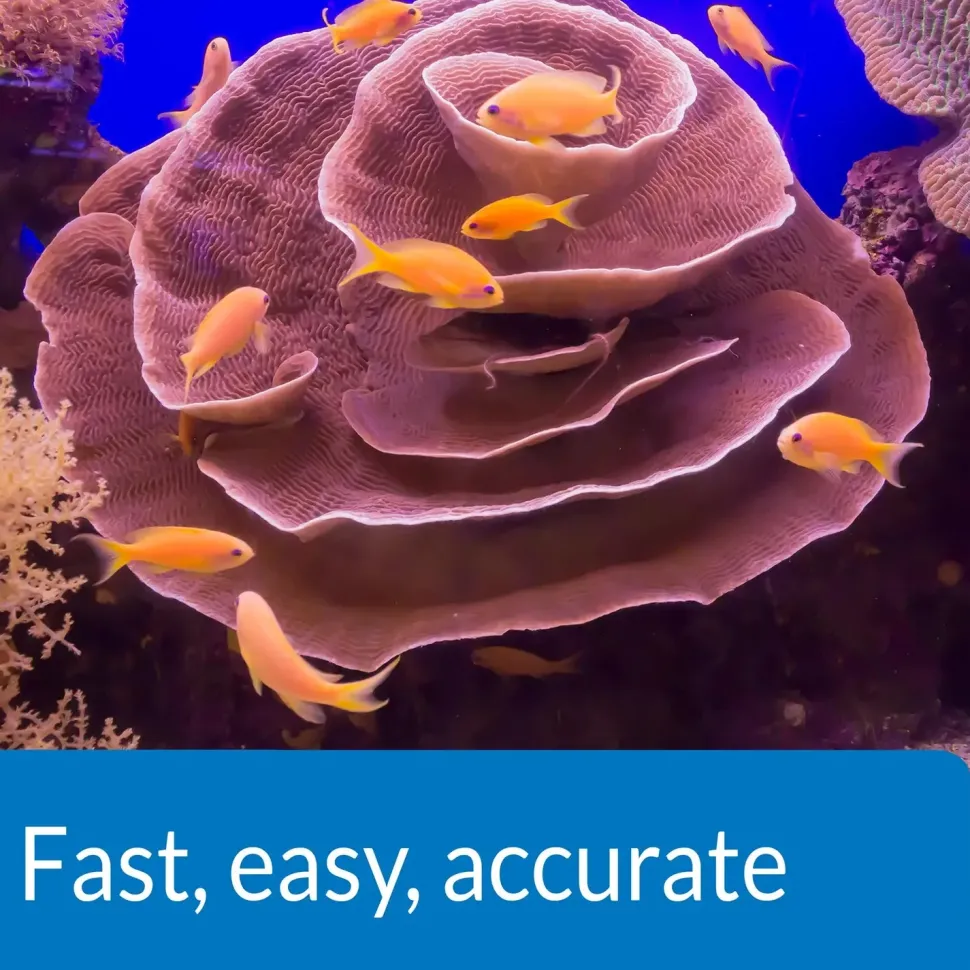 API Saltwater Aquarium Master Test Kit
