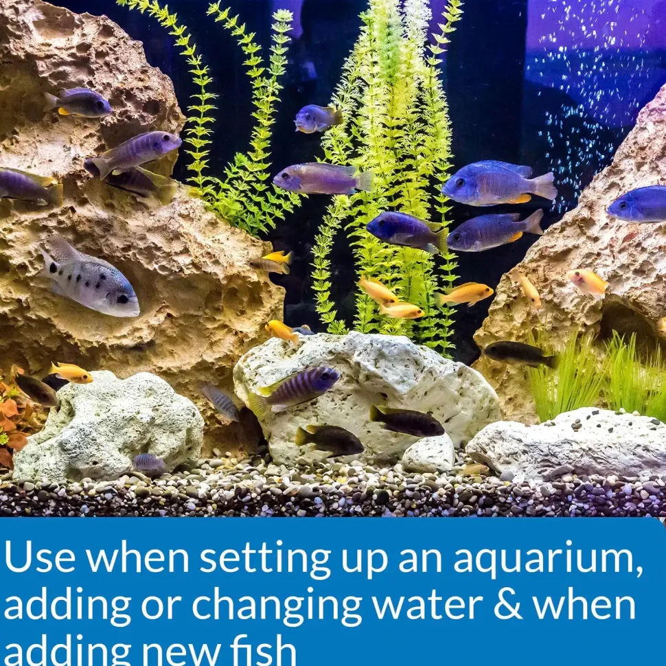 API Stress Coat No Pump Remedy Aquarium Water Conditioner 4-oz