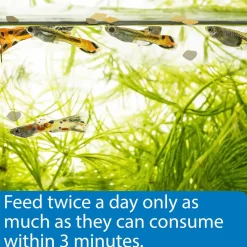 API Tropical Greens Flakes Algae & Plant Eating Fish Food 2.1-oz