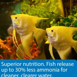API Tropical Premium Flakes Fish Food 1.1-oz